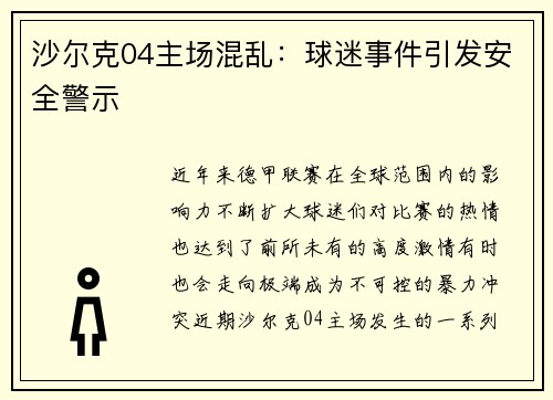 沙尔克04主场混乱：球迷事件引发安全警示